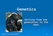 SC/NATS 1730, XXXII Genetics 1 Genetics Getting from one generation to the next