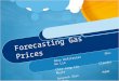 Forecasting Gas Prices Rory Hofstatter Shu-He Lin Chia-Jung Liu Claudia Muyle Sooyeon Shin Adam Sutton