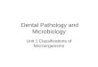 Dental Pathology and Microbiology Unit 1 Classifications of Microorganisms