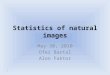 Statistics of natural images May 30, 2010 Ofer Bartal Alon Faktor 1