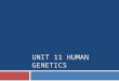 UNIT 11 HUMAN GENETICS. Flashcard Warm-up  Pedigree  A chart of an individual's ancestors used in human genetics to analyze inheritance of certain traits