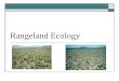 Rangeland Ecology. Hierarchy of Ecological Levels Figure from:   On-line biology class