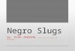 Negro Slugs By: RYAN JOHNSON, simon, Justin, Luke, Nathen, LIL NiinJesse