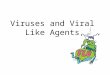 Viruses and Viral Like Agents What is a virus? Organism that causes diseases – Common cold – Flu – AIDS – Bird flu – Polio Electron micrographs of viruses