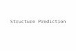Structure Prediction. Tertiary protein structure: protein folding Three main approaches: [1] experimental determination (X-ray crystallography, NMR) [2]