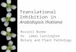 Translational Inhibition in Arabidopsis thaliana Russell Burke Dr. James Carrington Botany and Plant Pathology