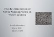 Norah Almadani Chem 4101 12/04/2009. Nanoparticles could be of the same dimension as some biological molecules like proteins and nuclic acids therefore,