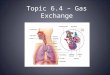 Topic 6.4 – Gas Exchange. The human respiratory system works in collaboration with the transport system to ensure that oxygen is continually supplied