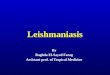 Leishmaniasis By Raghda El-Sayed Farag Assistant prof. of Tropical Medicine