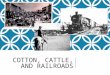 COTTON, CATTLE, AND RAILROADS. SIGNIFICANT INDIVIDUALS, EVENTS, AND ISSUES Buffalo soldiers  African American soldiers who were in the 9th and 10th Cavalry,