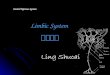 Central Nervous System Limbic System 边缘系统. Introduction