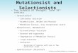 Mutationsist and Selectionists Two schools of thought, late 19 th century –Selectionist Continuous variation Biometricians, Weldon and Pearson Mendelian