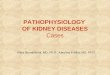 PATHOPHYSIOLOGY OF KIDNEY DISEASES Cases Klára Bernášková, MD, Ph.D., Karolína Krátká, MD, Ph.D