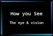 How you See The eye & vision. How You See The eye collects light from objects and projects them on the light-sensitive portion of the eye, the retina