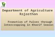 Department of Agriculture Rajasthan Promotion of Pulses through Intercropping in Kharif Season