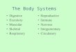 The Body Systems Digestive Excretory Muscular Skeletal Respiratory Reproductive Immune Nervous Integumentary Circulatory