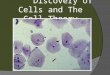 Discovery of Cells and The Cell Theory. Some Random Cell Facts  The average human being is composed of around 75 Trillion individual cells  It would