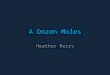 A Dozen Moles Heather Berry. THE MOLE A chemical mole is like a dozen. Each is a set quantity of matter