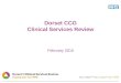 Dorset CCG Clinical Services Review February 2015