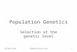 30 March 20152108Pop_Genetics.ppt1 Population Genetics Selection at the genetic level
