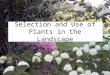 Selection and Use of Plants in the Landscape. Reasons for Choosing Plants Aesthetic appeal - attractiveness Function – a specific purpose in the landscape