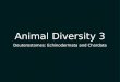 Animal Diversity 3 Deuterostomes: Echinodermata and Chordata