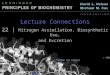 Lecture Connections 22 | Nitrogen Assimilation, Biosynthetic Use, and Excretion © 2009 W. H. Freeman and Company
