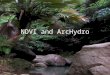 NDVI and ArcHydro. Methods ArcHydro Terrain Pre-Processing tools DEM fill Flow Direction Flow Length Stream Segmentation Conversion from raster to vector