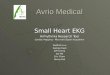 Avrio Medical Small Heart EKG Arrhythmia Research Tool Cardiac Mapping - Microvolt Signal Acquisition Seddrak Luu George Kwei Jeff Chang Joe Ma Eric Chow