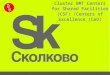 Facilities the equipment and maintenance services of BMT Cluster center are to be 100% owned by the Skolkovo Foundation and its wholly owned subsidiary
