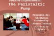 Positive Displacement: The Peristaltic Pump Prepared By: -Stephanie Arbelovsky -Andrea Hektor -Christina Hynes December 17, 2004