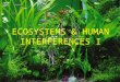 ECOSYSTEMS & HUMAN INTERFERENCES I.  Ecosystem: the biological communities & their abiotic environment  Ecosystems are Characterized by: Energy flow