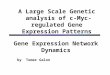 A Large Scale Genetic analysis of c-Myc-regulated Gene Expression Patterns Gene Expression Network Dynamics by Tomer Galon
