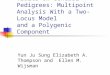MCMC-Based Linkage Analysis for Complex Traits on General Pedigrees: Multipoint Analysis With a Two-Locus Model and a Polygenic Component Yun Ju Sung Elizabeth