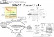 University of Southern California Center for Software Engineering CSE USC MBASE Essentials Planning and control Milestone content Process models Life cycle