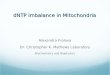 DNTP Imbalance in Mitochondria Alexandra Frolova Dr. Christopher K. Mathews Laboratory Biochemistry and Biophysics