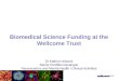 Biomedical Science Funding at the Wellcome Trust Dr Kathryn Adcock Senior Portfolio Developer Neuroscience and Mental Health / Clinical Activities