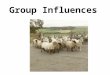 Group Influences. 1996 What is a Reference Group?  an individual or group who serve as points of comparison or reference and have a significant relevance