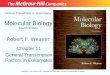 Molecular Biology Fourth Edition Chapter 11 General Transcription Factors in Eukaryotes Lecture PowerPoint to accompany Robert F. Weaver Copyright © The