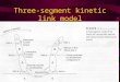 Three-segment kinetic link model. Three- segment model: (Fig j.2, p 339)