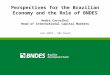 Perspectives for the Brazilian Economy and the Role of BNDES Andre Carvalhal Head of International Capital Markets June 2010 – São Paulo