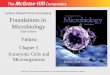 Foundations in Microbiology Sixth Edition Chapter 5 Eucaryotic Cells and Microorganisms Lecture PowerPoint to accompany Talaro Copyright © The McGraw-Hill