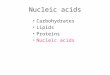 Nucleic acids Carbohydrates Lipids Proteins Nucleic acids