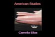 Camelia Elias American Studies. The Declaration of Independence  overall the Declaration of Independence was, and is the single greatest United States