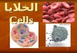 الخلايا Cells. نظرية الخلية Cell Theory الخلية هي وحدة التركيب الأساسية لجميع الكائنات الحية الخلية هي وحدة