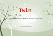Twin A Design Pattern for Modeling Multiple Inheritance Mahmoud ghorbanzadeh
