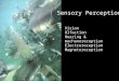Sensory Perception Vision Olfaction Hearing & mechanoreception Electroreception Magnetoreception