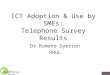 Dr R Dyerson ~ ICT adoption and use by SMEs ICT Adoption & Use by SMEs: Telephone Survey Results Dr Romano Dyerson RHUL