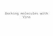 Docking molecules with Vina. Autodock Vina To study molecules they must be docked Docked molecules bind their enzyme or receptor in a specific conformation