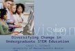 Diversifying Change in Undergraduate STEM Education Carol L. Colbeck University of Massachusetts Boston